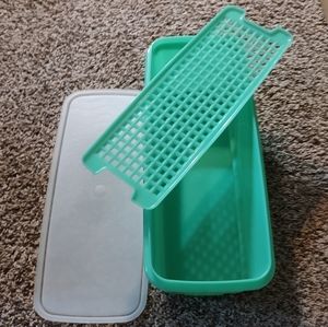 Vintage Tupperware veggie container